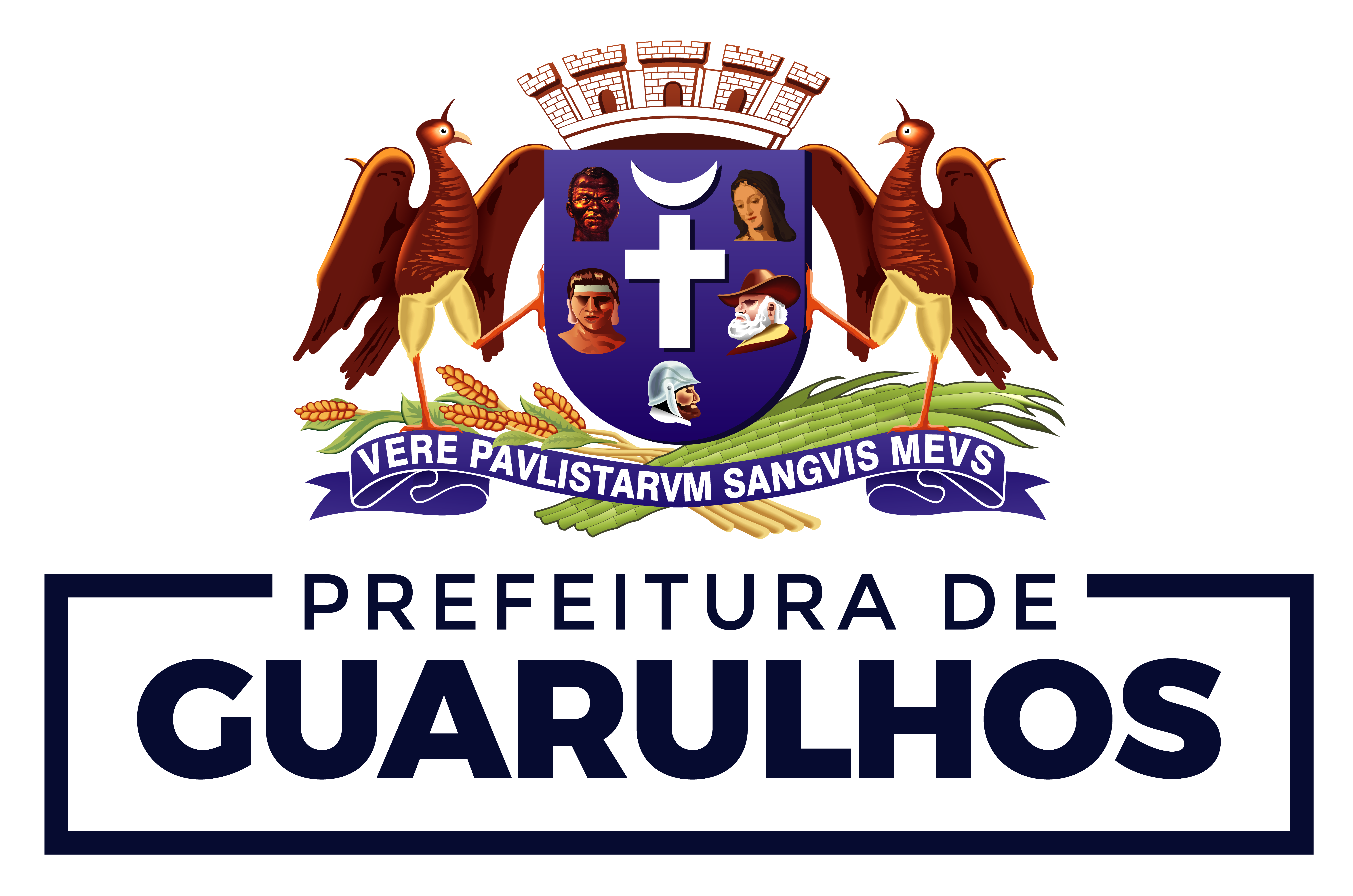 https://www.guarulhos.sp.gov.br